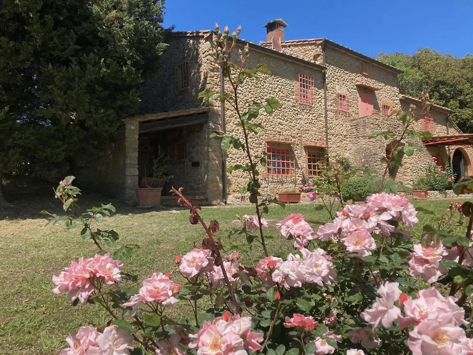 Casale toscano del 1700 in pietra locale al tramonto con ulivi secolari a Guardistallo