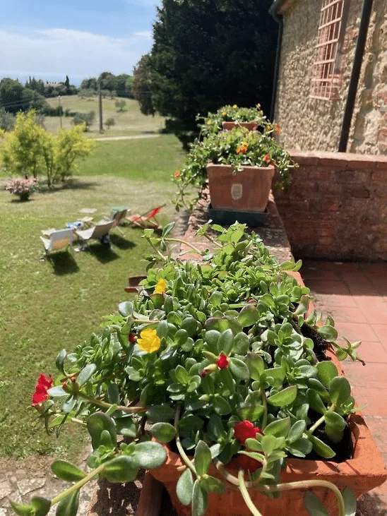Piscina a sfioro con vista mare panoramica dalla villa Il Pietraio vicino Bolgheri